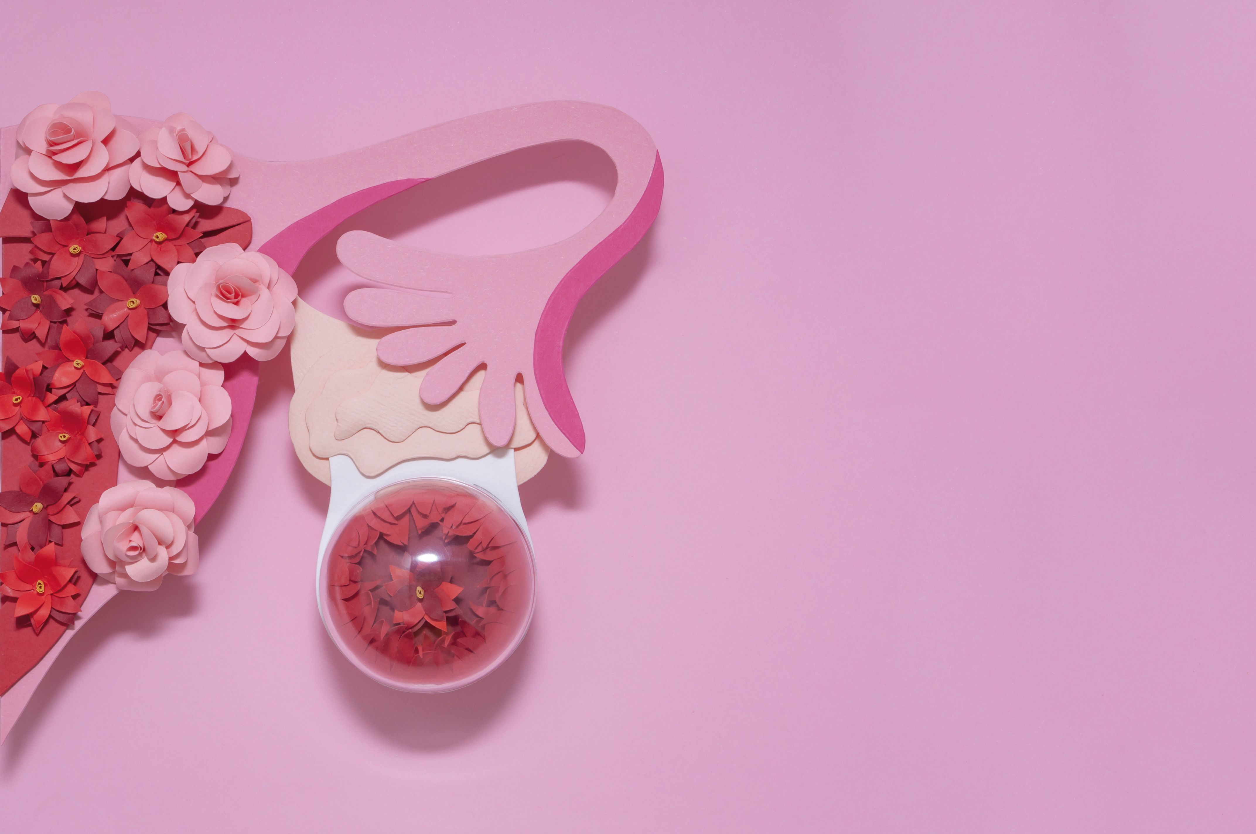 A contribuição da ultrassonografia transvaginal e da ressonância magnética no diagnóstico e no mapeamento de lesões de endometriose